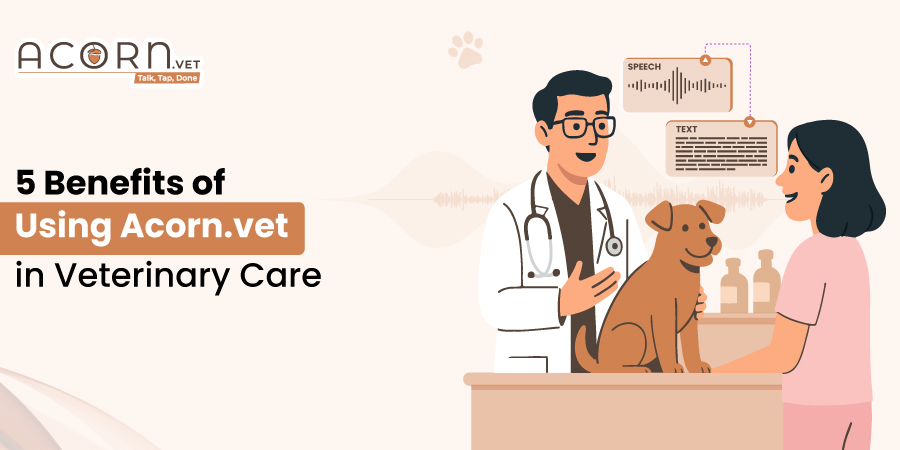 Top 5 Benefits of Using Acorn.Vet (Veterinary Medical Record Software)