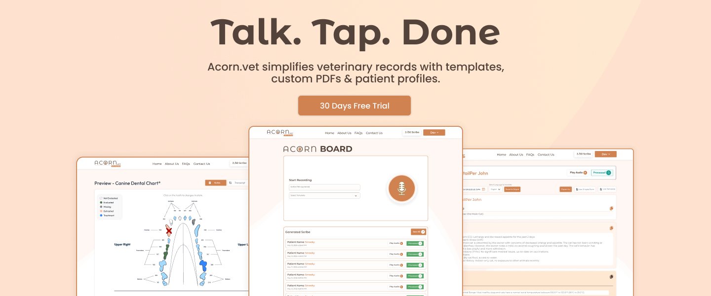 blog promotional banner