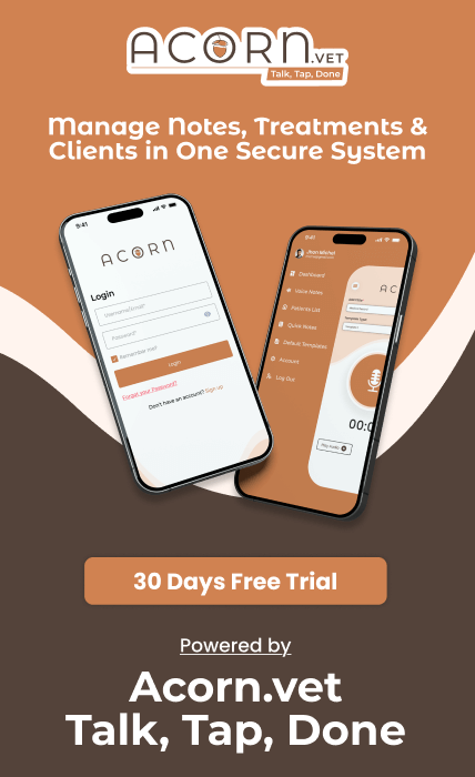 blog promotional banner