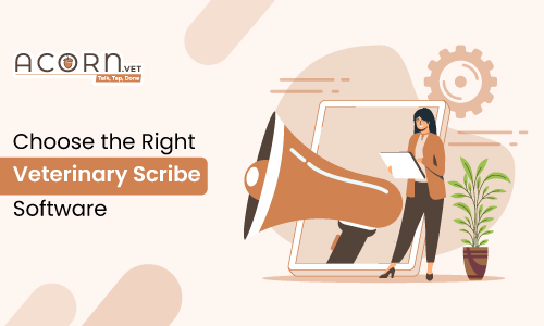 How to Choose the Right Veterinary Scribe Software - Acorn.vet