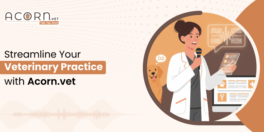 Streamline Your Veterinary Practice with Acorn.vet (Voice-to-Text Software)