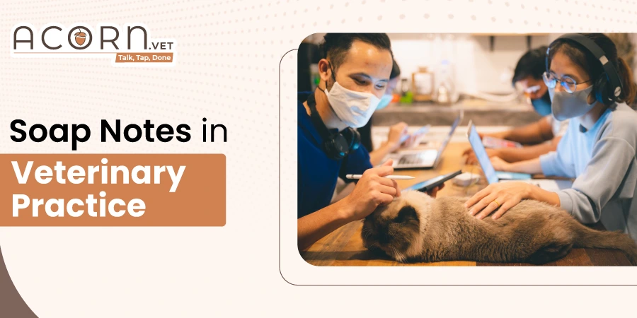 What Does SOAP Stand For in Veterinary Medicine?